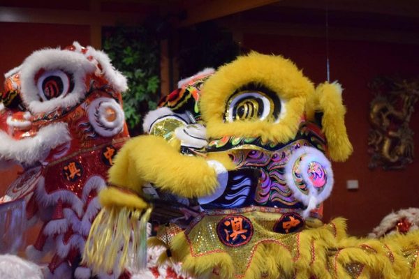 Chinese Lion Dancers